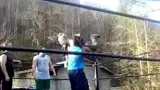 Coolest Head Scissors ddt ever