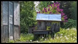 Beautiful old houses in the countryside walking tour in the village in Vaskelovo, Russia