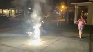 Disco turkey for new years