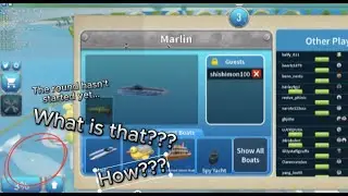 Double Shark Occurrence
