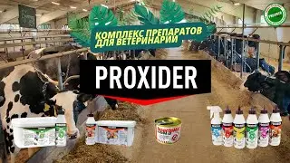 Полная обработка животноводческого комплекса, дезинсекция и дезинфекция с помощью PROXIDER