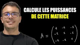 Comment calculer la puissance n-ième d'une matrice ?