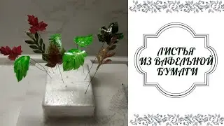 Листья из вафельной бумаги