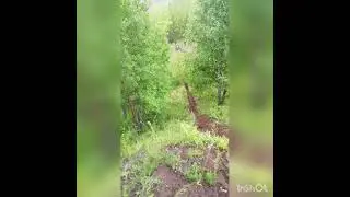 замес лесных дорог, жгут резину на все бабки