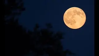 Mid Autumn (Moon) Festival! Let's Take A Tour Of The Moon!