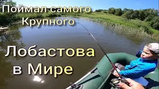 Поймал за Глаз Самого Крупного Лобастова в Мире на ТРИГЕР