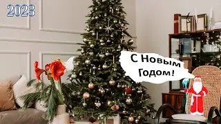 Новый Год в Клуж-Напока!
