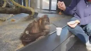И что делать в такой ситуации 5 ?