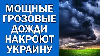 ПОГОДА НА 1 ИЮНЯ : ПОГОДА НА ЗАВТРА