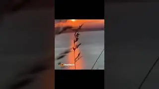 Абдуллох домла (Атом бомба)