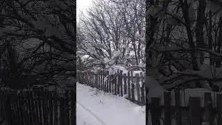 зима