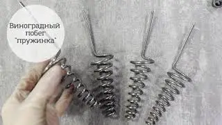 Пружинка побег винограда
