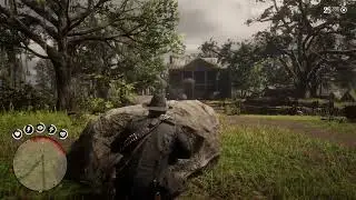 Arthur doing a little more killing. RDR2