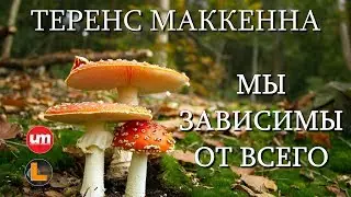 Terence McKenna - We Are Addicted to Everything