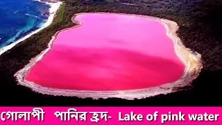 Lake Hiliar in pink water - গোলাপী পানির হিলিয়ার হ্রদ