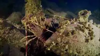 Lost Ships of Rome | Secrets of The Dead