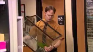 Killer Fish - The Office