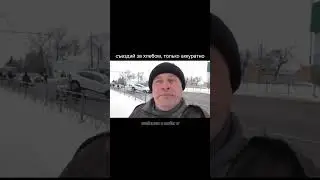 Жиза 