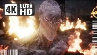 Infinity 443 (Trailer Edit)