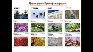 Сказка о братьях-месяцах