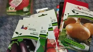 Обзор семян 2024.Перрррцы, бааааклажаны, лучччччок!!! 😃