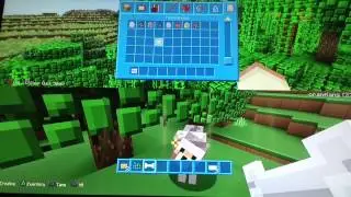 Minecraft PS3: Texture Pack Showcase Part 2 [38]