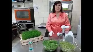 Сок из ростков  ржи и витграсс