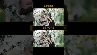 Double Transititon Effect ADOBE PREMIERE PRO