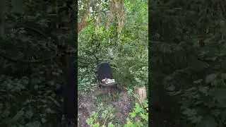 Даже у кота своя терраса в КАЛИНИНГРАДЕ #kaliningrad #семьяпутешествует