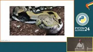 Solving Two Hard Problems in Computer Science Using Pandas - Miroslav Šedivý