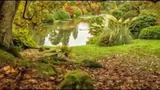 Осенний саксофон-блюз (Раймонд Паулс)