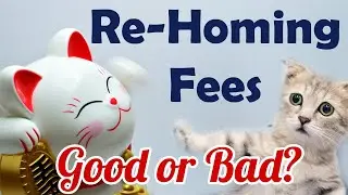 About Rehoming Fees