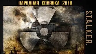 S.T.A.L.K.E.R. Народная Солянка 2016 ч. 8  // Фамильное ружьё, тайник Кости Х-18