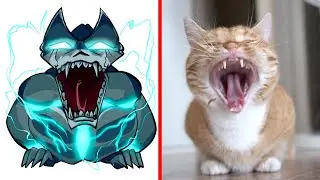 Cat Memes: KAIJU NO.8