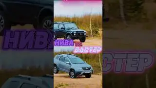 ДАСТЕР ПРОТИВ НИВЫ что лучше?  