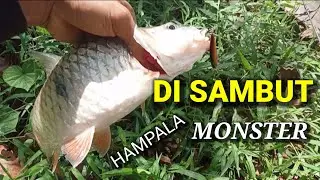 GANASNYA  IKAN HAMPALA‼️ GK PERCAYA,TONTON SAMPAI SELESAI#ANAKSUNGAIKERUH#CASTINGIKANHAMPALA#strike