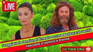 Scoppiata la tensione! Ernesto accusa Barbara: le verità nascoste a Uomini e Donne