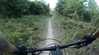 Cypresswood MTB trails at Houston, TX seventh trail Climbing the hill  🤙🏽