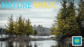 Nature Walk | Sam