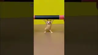 Котик делат вайб #shorts