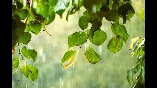 Heavy rain no copyright sound effect