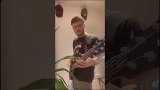 Hitching a ride and attacked by a plant #bassguitar #coversong #basscover #hitchingaride #greenday
