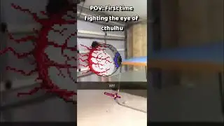 Pov: Your First Time Fighting The Eye of Cthulhu In Terraria