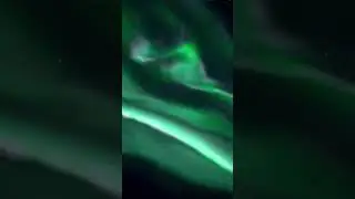 Aurora💚