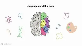 Why Do I Need to Know What Plurilingualism is?