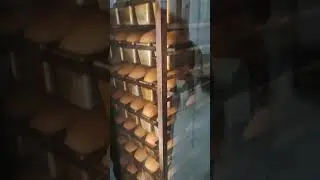 Revent 725 Baking bread Rack oven Revent 725 GAS 