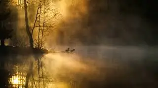 Morning Alarm Tone With Piano And Nature Sounds   Free Ringtone Downloads
