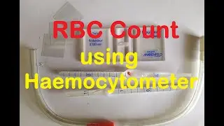 Total RBC Count Practical Lab