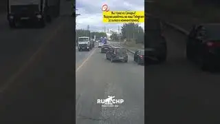 Мужчина спас котёнка на дороге около Жигулёвска (Самарская область) #самара #котенок #котёнок