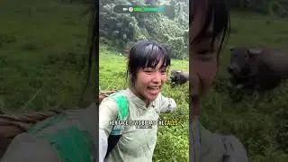 A Rare Encounter 